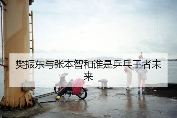 樊振东与张本智和谁是乒乓王者未来